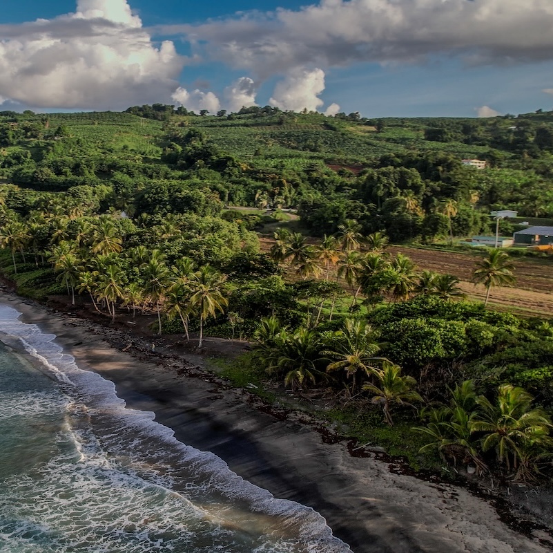 Anse C. 410 petit-carre