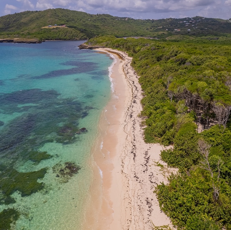 CAP MACRE 13 SEPT (207) petit-carre